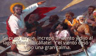 DOMINGO XII -B-