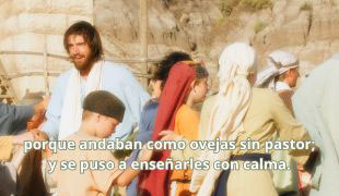 DOMINGO XVI -B-