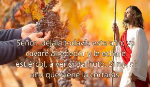 DOMINGO III DE CUARESMA -C-
