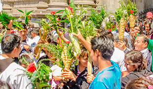 Domingo de Ramos en la Pasión del Señor -C-