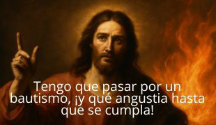 Domingo XX -C-