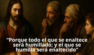 DOMINGO XXII -C-