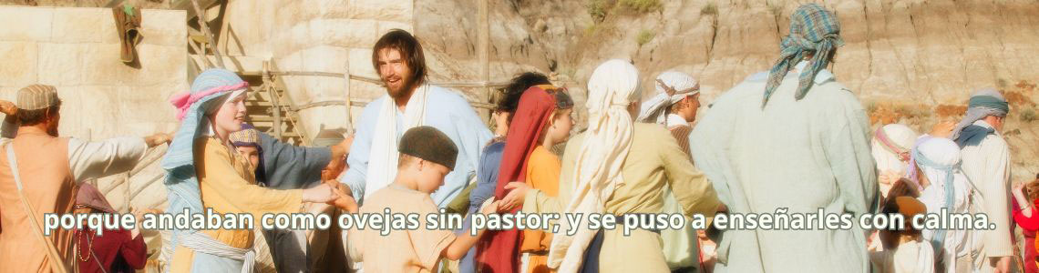 DOMINGO XVI -B-