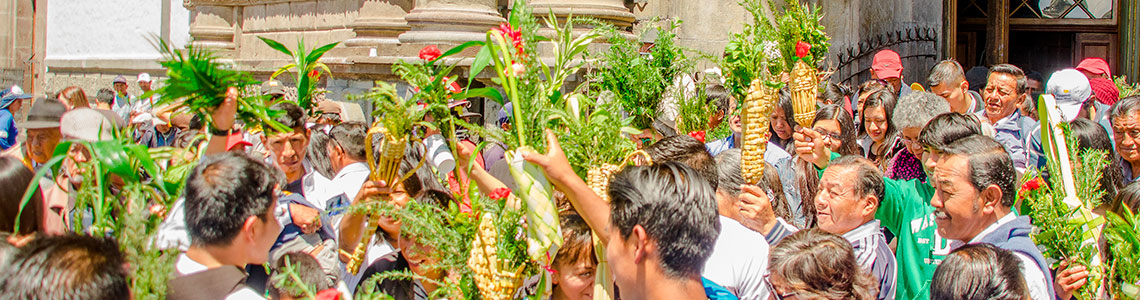 Domingo de Ramos en la Pasión del Señor -C-